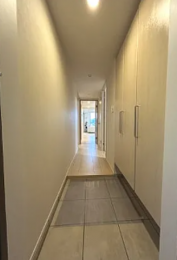 ���̑��@-